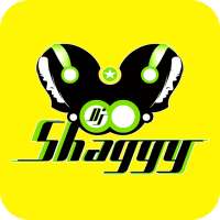 Dj Shaggy Radio on 9Apps