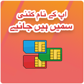 Check Sim Registration icon