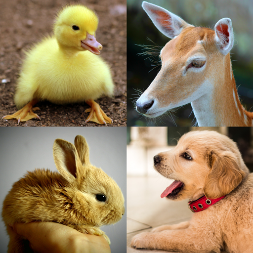 2048 Cute Animals - Puzzle for Girls icon