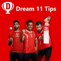 Dream Team 11-Fantasy Cricket Tips