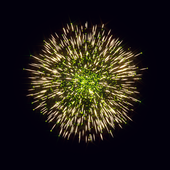 New Year LWP and bonus game icon