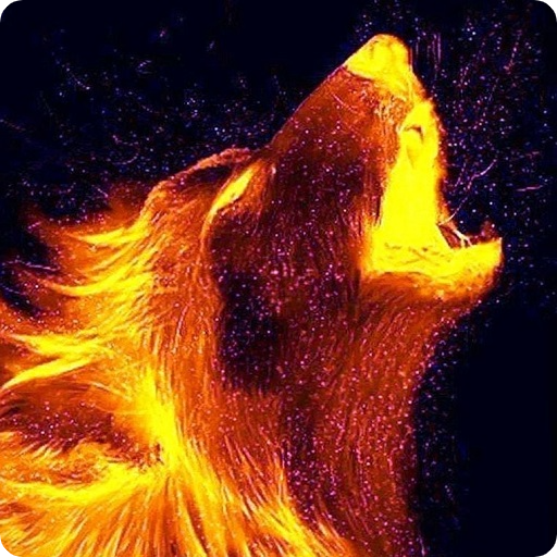 🦊 Wolf Wallpapers and Backgrounds 🦊🐺 icon