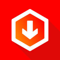 Video social downloader