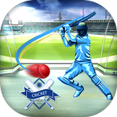 Cricket Scorecard icon