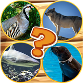 Quiz Pictures Guess The Animal icon