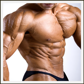 Gym Full Body Challenge - Exercises For Full Body! icon