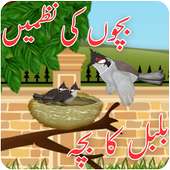 Bachon Ki Urdu Nazmain – Bulbul Ka Bacha Urdu Poem on 9Apps