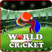 World Cricket