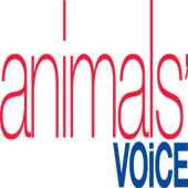 Animals' Voice icon