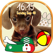 Cute Puppy Lock Screen Wallpaper 🐶 Little Doggy icon