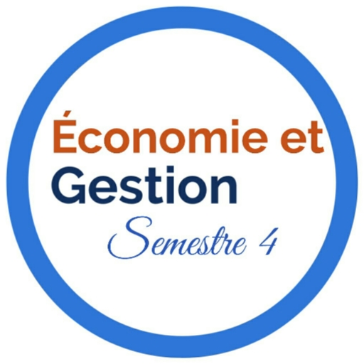 économie et gestion semestre 4 icon