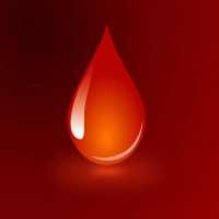 Character Planner for Bloodborne on 9Apps