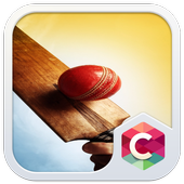 Indian Cricket Ball Theme:Cricketer Live Wallpaper icon