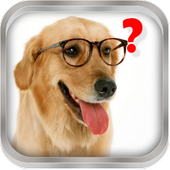 Magic Ball. Chiedi il cane icon