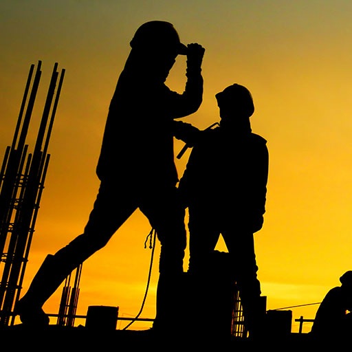 Malaysia foreigner worker icon