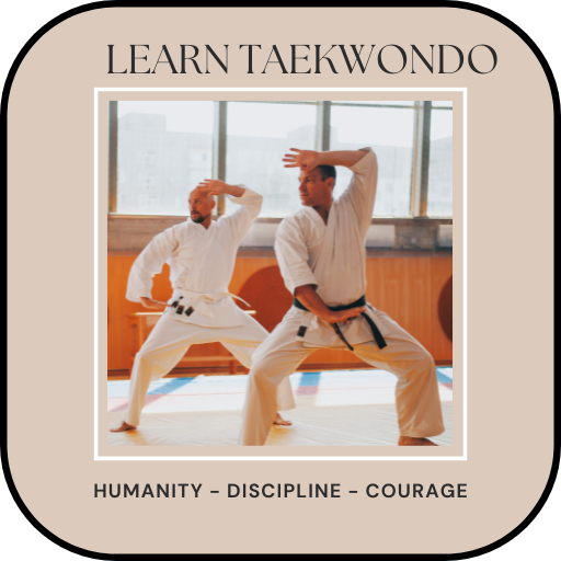 Learn taekwondo training أيقونة
