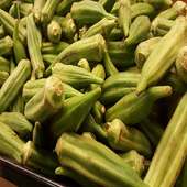 Bhindi For Health on 9Apps