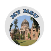 My MSU icon