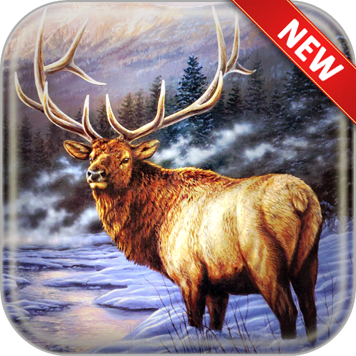 Deer Wallpapers icon