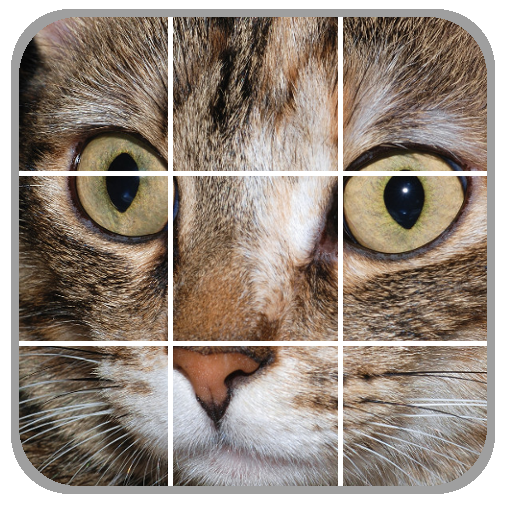 Cats Puzzles icon