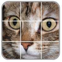 Cats Puzzles