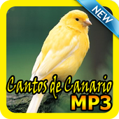 Cantos de Canario Mp3 icon