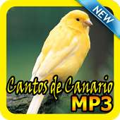 Cantos de Canario Mp3 on 9Apps