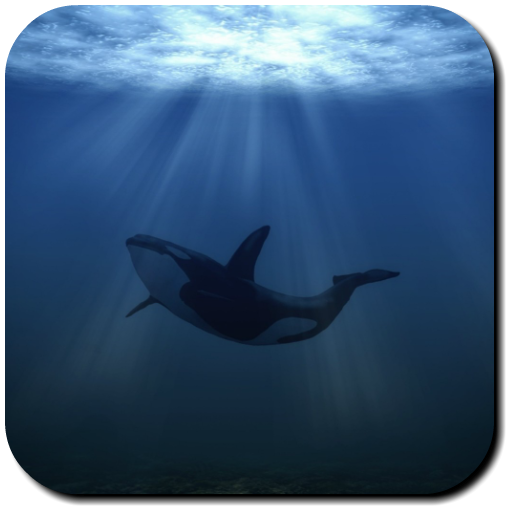 Whale Wallpapers icon