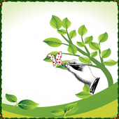 Drawing to The Nature icon