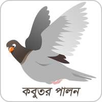 কবুতর পালন | Kobutor Palon on 9Apps