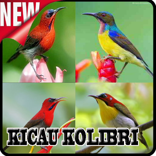 Kicau Kolibri Master mp3 icon