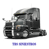 TRUCK BODY SHOP SINIESTROS icon