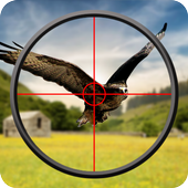 Bird Hunting 3d Adventure icon