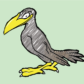 Bird Drawing Apps for Kids- Step by Step Tutorial icon