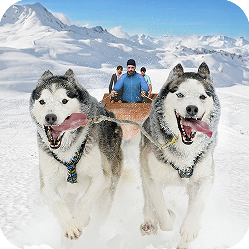 Snow Dog Sledding Transport Games: Winter Sports icon