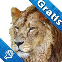 Zoo pour enfant,jeux d'animaux