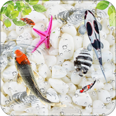 Aquarium Fish Live Wallpaper 2018 icon