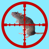 Clear Rats icon