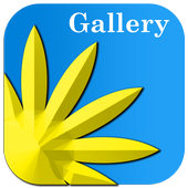 Gallery icon
