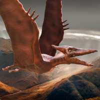 Pteranodon Simulator on 9Apps