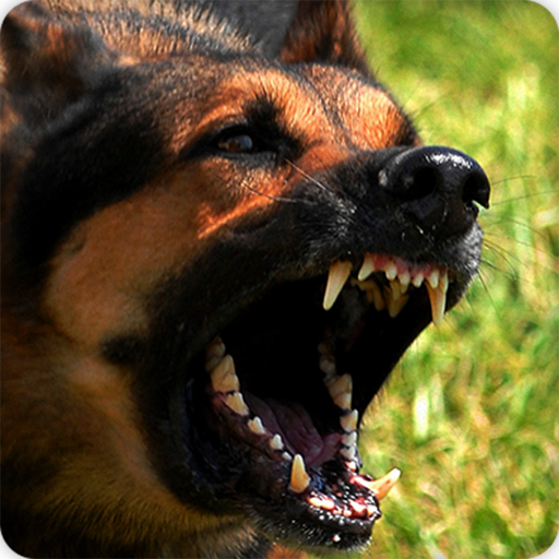 Dog Barking Sounds Ringtones icon