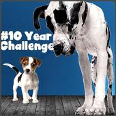 10 Years Challenge #10YearChallenge 2009-2019 icon