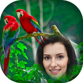 Birds Photo Frames icon