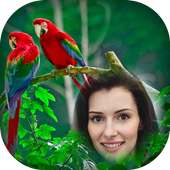 Birds Photo Frames on 9Apps