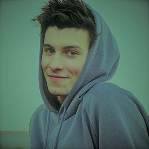 Shawn Mendes Wallpapers icon