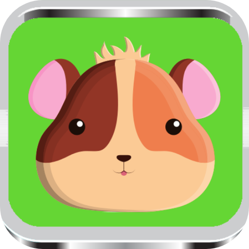 Hamster training 2020 icon