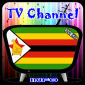 Info TV Channel Zimbabwe HD icon