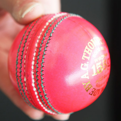 Cricket Updates icon