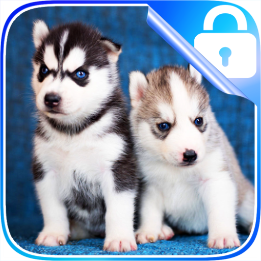 Husky Lock Screen icon