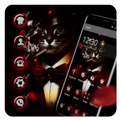 costly cat theme costly black wallpaper icon